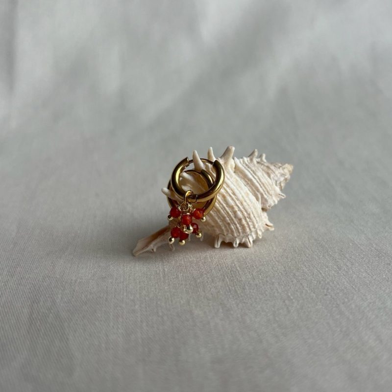 Collection Bréhat – Image 5